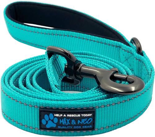 Max and Neo Reflective Nylon Dog Leash