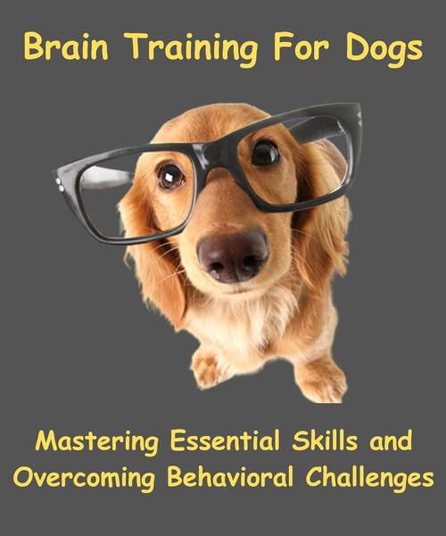 Brain Training For Dogs - Mastering Essential Skills And Overcoming Challenges