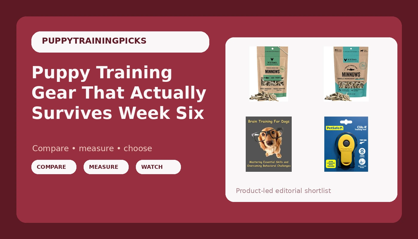 Puppy Training Gear That Actually Survives Week Six