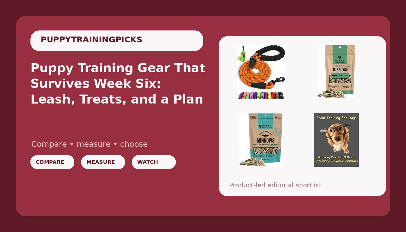 Puppy Training Gear That Survives Week Six: Leash, Treats, and a Plan