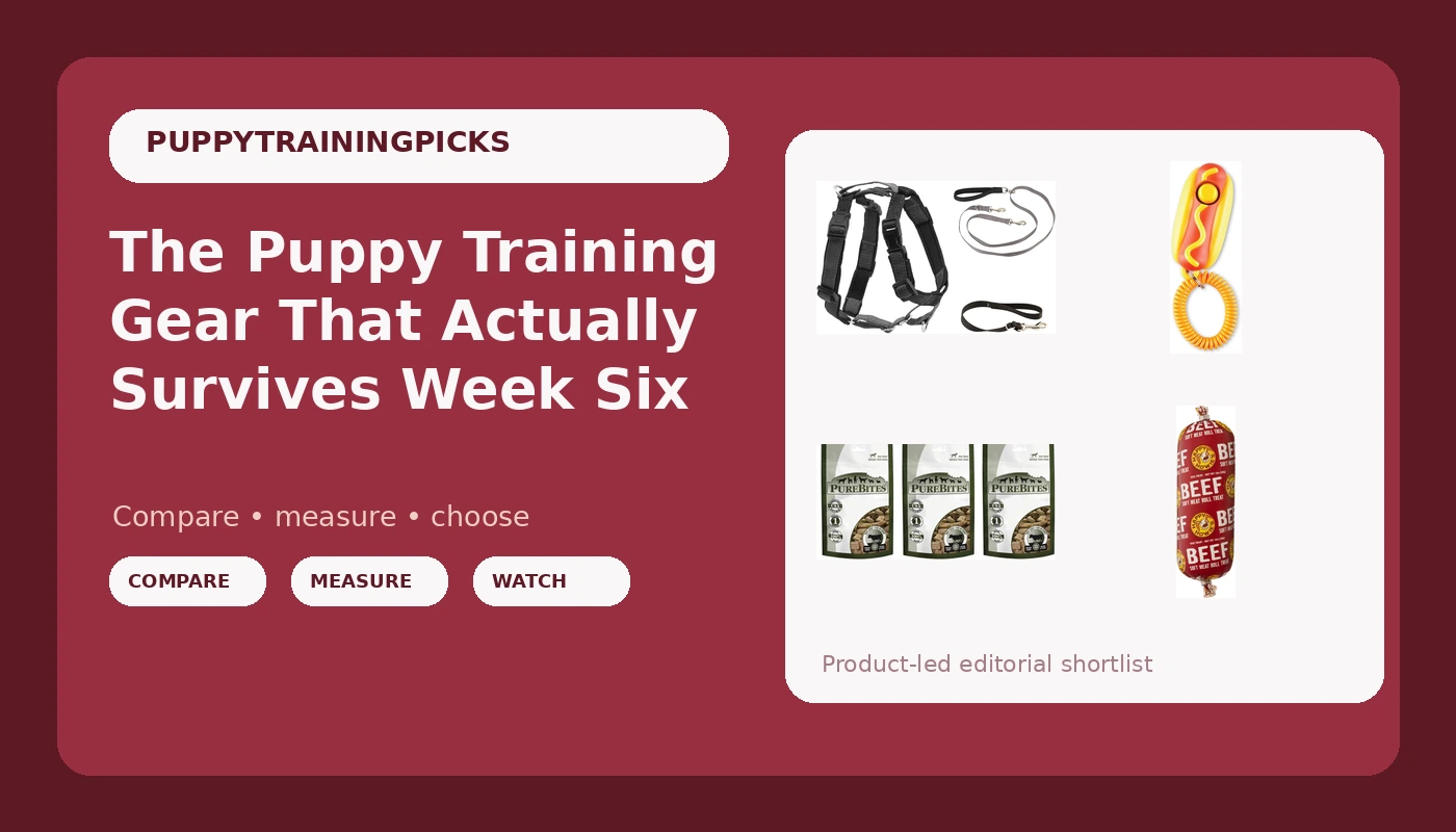The Puppy Training Gear That Actually Survives Week Six