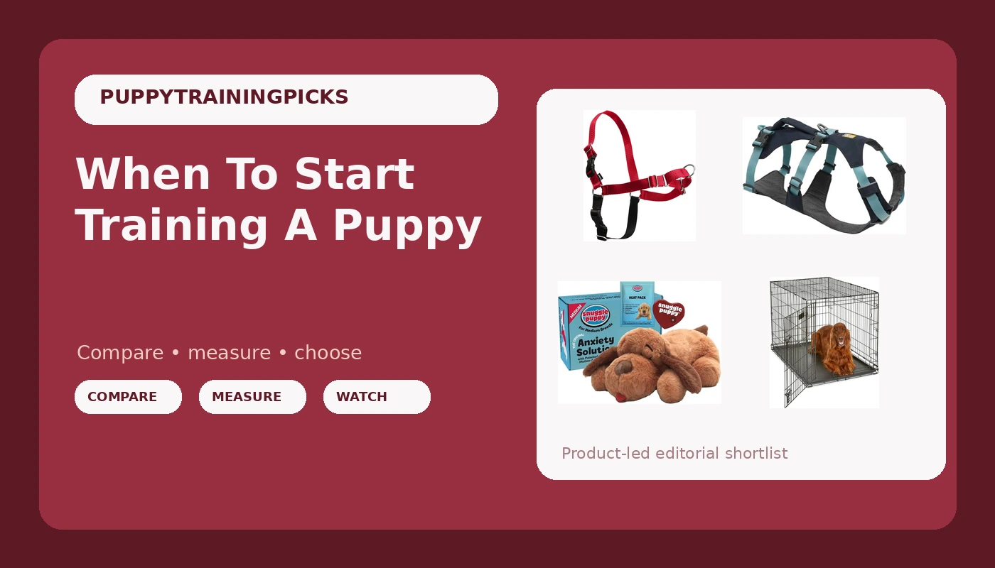 When To Start Training A Puppy - PuppyTrainingPicks review with measurements and honest opinion